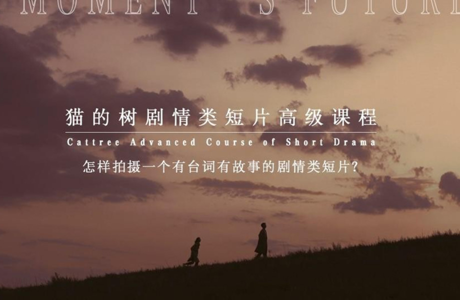 2020年猫的树摄影课程（画质清晰有素材）