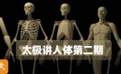 太极人体造型核心培训班第二期【画质高清有部分素材】