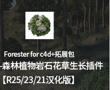 C4D插件-中文汉化版Forester for Cinema 4D+拓展包 森林植物生长插件支持C4D R21/R23/R25/R26