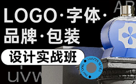 卢帅LOGO字体品牌包装设计实战班第5期（高清画质带素材）