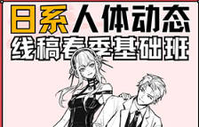 花茶人体系统春季班2024年（画质清晰无素材）